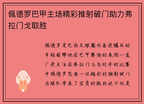 佩德罗巴甲主场精彩推射破门助力弗拉门戈取胜 佩德罗巴甲主场精彩推射破门助力弗拉门戈取胜